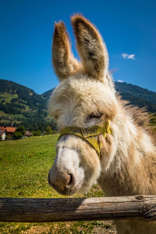 Weidinghof Apartamento Sankt Veit im Pongau Exterior foto