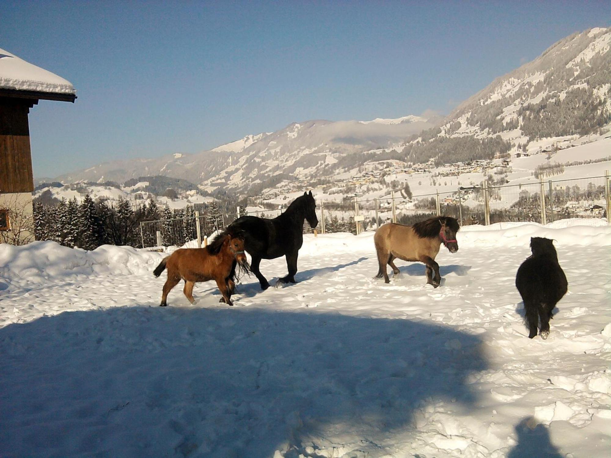 Weidinghof Apartamento Sankt Veit im Pongau Exterior foto